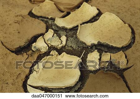 Cracking hardpan, close-up of dry ground View Large Photo Image Stock Image - Cracking hardpan, close-up of dry ground. Fotosearch