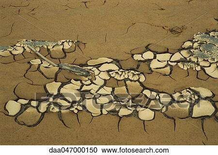 Cracking hardpan, dry ground View Large Photo Image Stock Image - Cracking hardpan, dry ground. Fotosearch