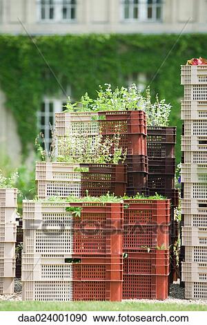 Crates of plants stacked up View Large Photo Image Stock Image - Crates of plants stacked up. Fotosearch