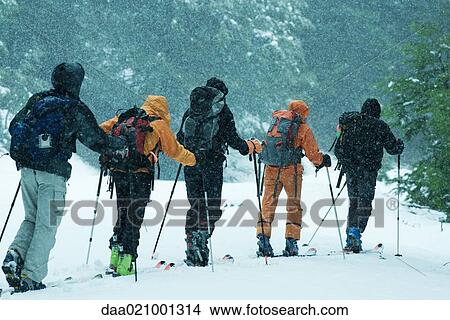 Picture - Cross-country skiers, single file, rear view. Fotosearch