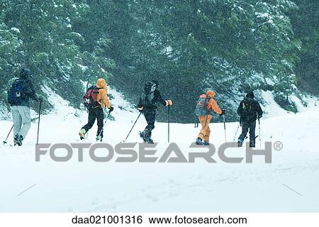 Cross-country skiers, single file, rear view View Large Photo Image Stock Photograph - Cross-country skiers, single file, rear view. Fotosearch