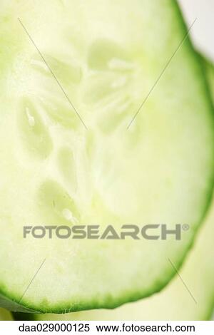 Cucumber slice, extreme close-up View Large Photo Image Stock Photography - Cucumber slice, extreme close-up. Fotosearch