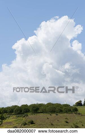 Cumulus clouds over countryside View Large Photo Image Stock Photo - Cumulus clouds over countryside. Fotosearch