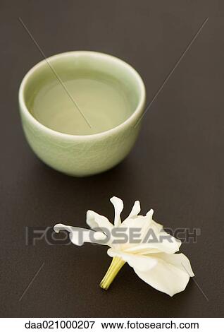 Cup of tea and gardenia flower View Large Photo Image Stock Photo - Cup of tea and gardenia flower. Fotosearch