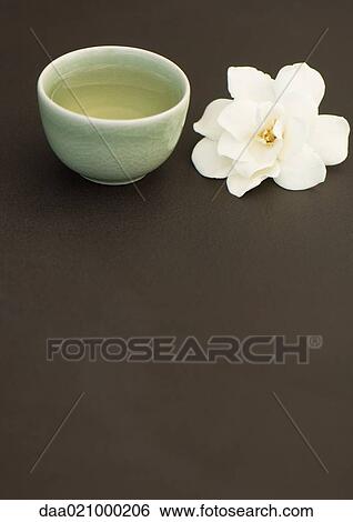 Cup of tea and gardenia flower View Large Photo Image Stock Photograph - Cup of tea and gardenia flower. Fotosearch