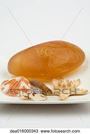 Stock Image - Decorative soap and seashells. Fotosearch