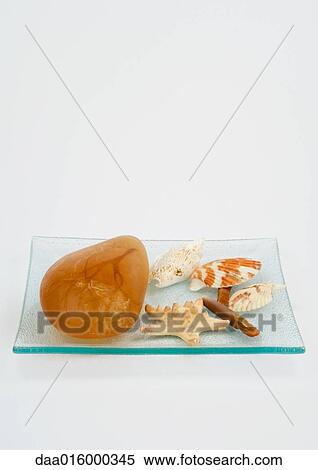Decorative soap and seashells View Large Photo Image Stock Photography - Decorative soap and seashells. Fotosearch