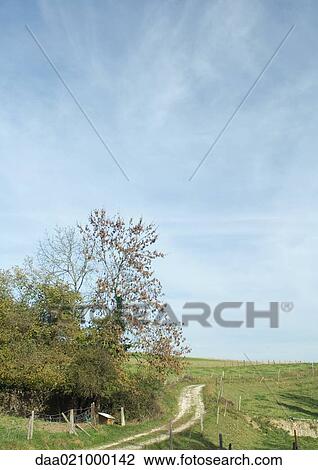 Dirt road through rural landscape View Large Photo Image Stock Image - Dirt road through rural landscape. Fotosearch
