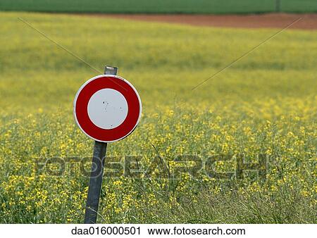 Do not enter sign and field of colza View Large Photo Image Stock Image - Do not enter sign and field of colza. Fotosearch