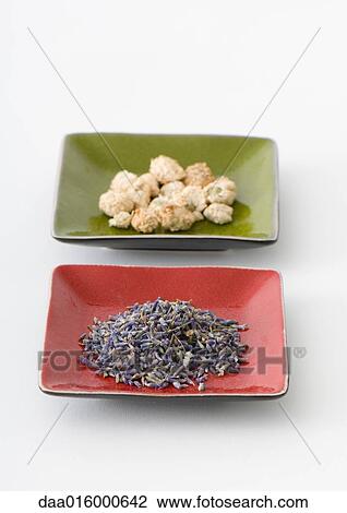 Dried lavender and chamomile flowers View Large Photo Image Stock Image - Dried lavender and chamomile flowers. Fotosearch
