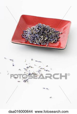 Dried lavender flowers View Large Photo Image Picture - Dried lavender flowers. Fotosearch