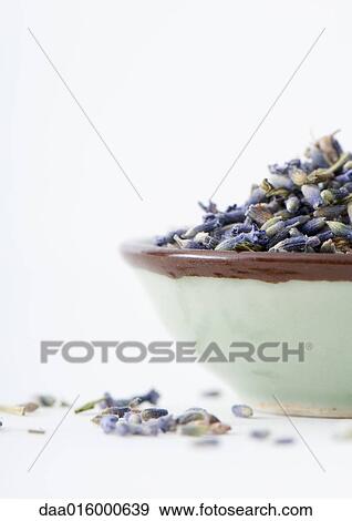 Dried lavender in bowl View Large Photo Image Stock Photo - Dried lavender in bowl. Fotosearch
