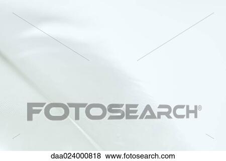 Drop of water on white feather, extreme close-up View Large Photo Image Stock Photo - Drop of water on white feather, extreme close-up. Fotosearch
