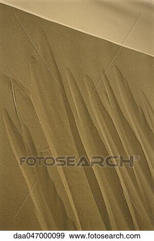 Dune in Sahara desert, Morocco, close-up View Large Photo Image Stock Photo - Dune in Sahara desert, Morocco, close-up. Fotosearch