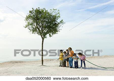 Stock Image - Ecology concept, children watering tree growing on beach. Fotosearch
