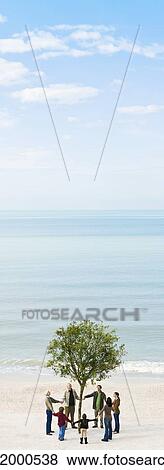 Stock Photo - Ecology concept, group holding hands in circle around solitary tree on beach. Fotosearch