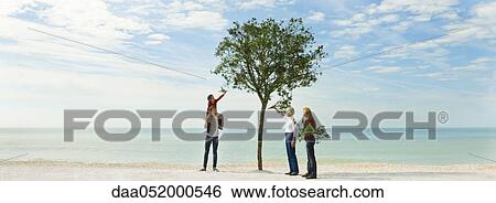 Ecology concept, group of people adding branches to tree on beach View Large Photo Image Stock Photograph - Ecology concept, group of people adding branches to tree on beach. Fotosearch