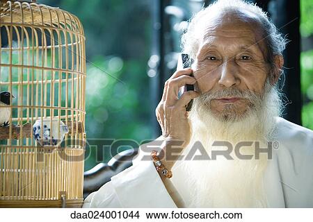 Elderly man wearing traditional Chinese clothing, using cell phone, next to bird cage View Large Photo Image Picture - Elderly man wearing traditional Chinese clothing, using cell phone, next to bird cage. Fotosearch