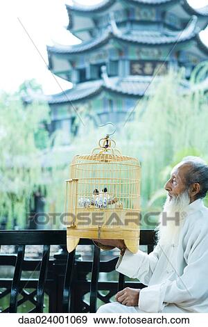 Stock Photo - Elderly man wearing traditional Chinese clothing, holding up birdcage, pagoda in background. Fotosearch