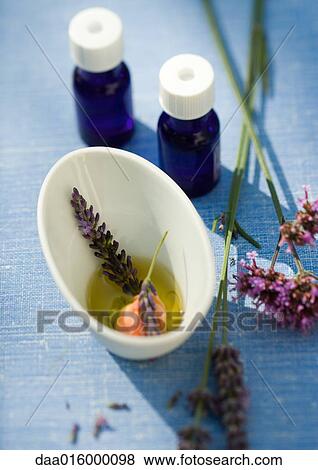 Essential oils and flowers macerating in oil View Large Photo Image Stock Photo - Essential oils and flowers macerating in oil. Fotosearch