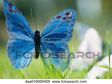Fake butterflies View Large Photo Image Stock Photo - Fake butterflies. Fotosearch