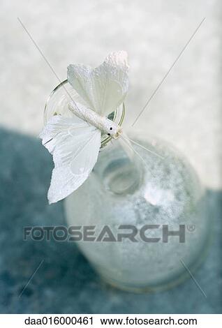 Fake butterfly balancing on bottle View Large Photo Image Stock Image - Fake butterfly balancing on bottle. Fotosearch