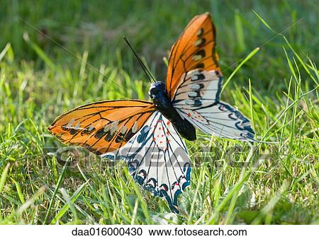 Fake butterfly in grass View Large Photo Image Stock Image - Fake butterfly in grass. Fotosearch