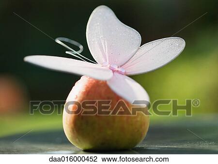 Fake butterfly on apple View Large Photo Image Stock Image - Fake butterfly on apple. Fotosearch