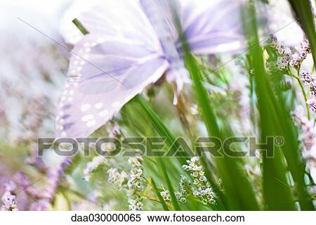 Stock Photography - Fake butterfly on flowering plant, close-up. Fotosearch