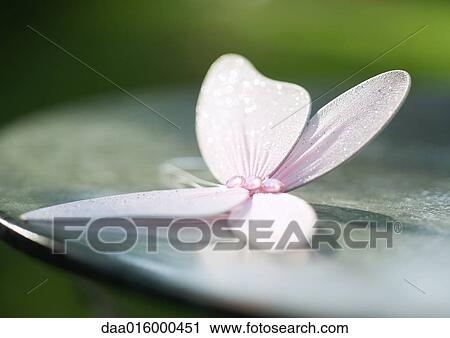 Fake butterfly View Large Photo Image Stock Image - Fake butterfly. Fotosearch