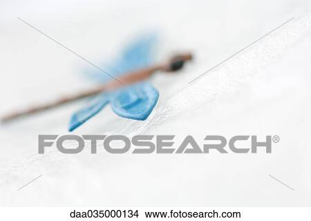 Fake dragonfly, close-up View Large Photo Image Picture - Fake dragonfly, close-up. Fotosearch