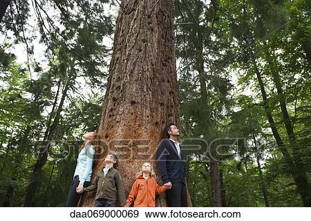 Stock Photo - Family standing together at base of tall tree, holding hands. Fotosearch
