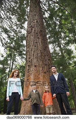 Stock Photograph - Family standing together at base of tall tree, holding hands. Fotosearch