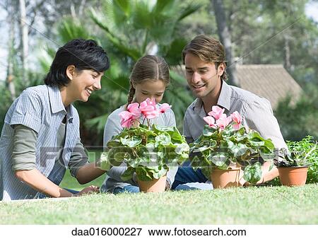 Family tending potted plants View Large Photo Image Stock Photo - Family tending potted plants. Fotosearch