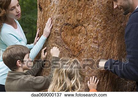 Family touching tree trunk View Large Photo Image Stock Photo - Family touching tree trunk. Fotosearch