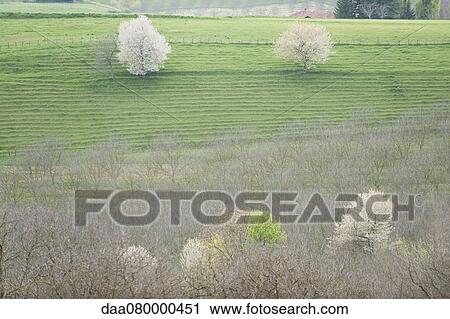 Farmland, high angle view View Large Photo Image Stock Image - Farmland, high angle view. Fotosearch