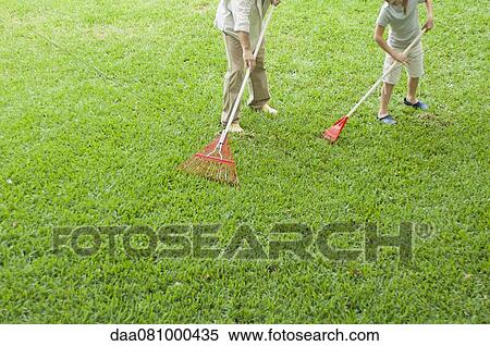Father and daughter raking yard together View Large Photo Image Stock Photography - Father and daughter raking yard together. Fotosearch