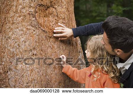 Stock Photo - Father and young daughter touching tree trunk. Fotosearch