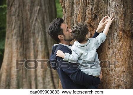 Father and young son touching tree bark View Large Photo Image Stock Image - Father and young son touching tree bark. Fotosearch