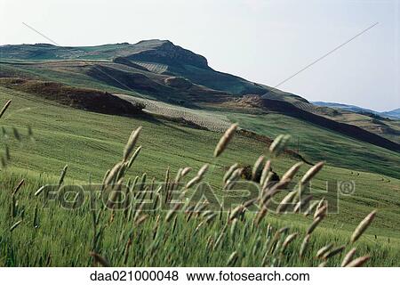 Field and mountainous landscape View Large Photo Image Stock Photo - Field and mountainous landscape. Fotosearch
