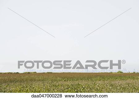 Field, smog obscured city skyline in distance View Large Photo Image Stock Photo - Field, smog obscured city skyline in distance. Fotosearch