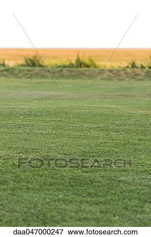 Field View Large Photo Image Stock Photo - Field. Fotosearch