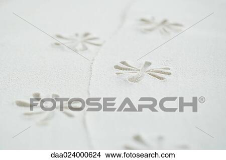 Flower pattern printed into sand, close-up View Large Photo Image Picture - Flower pattern printed into sand, close-up. Fotosearch