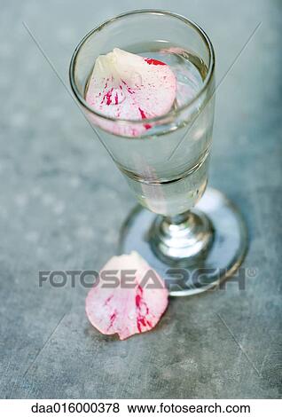Stock Photo - Flower petal in glass of water. Fotosearch