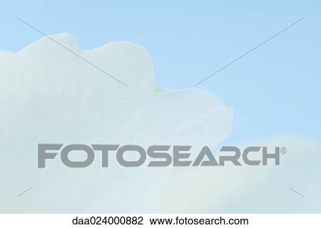 Flower petal on blue background, extreme close-up View Large Photo Image Stock Image - Flower petal on blue background, extreme close-up. Fotosearch