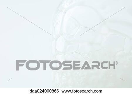 Foam bubbles, extreme close-up View Large Photo Image Stock Photograph - Foam bubbles, extreme close-up. Fotosearch