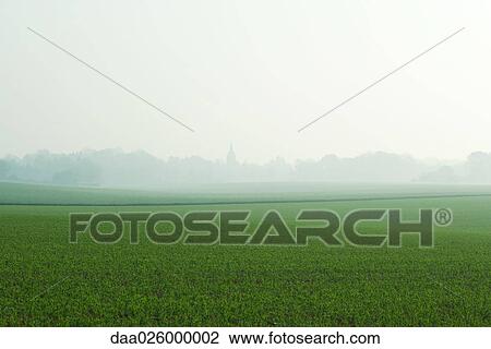 Foggy landscape View Large Photo Image Stock Image - Foggy landscape. Fotosearch