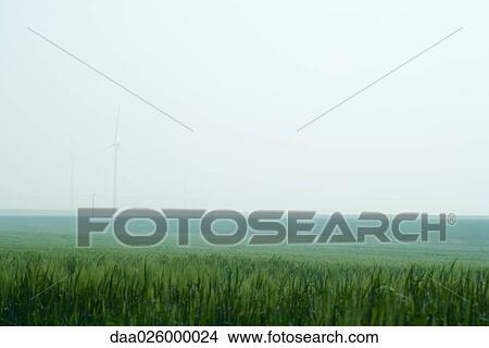 Picture - Foggy landscape with wind turbines in the distance. Fotosearch
