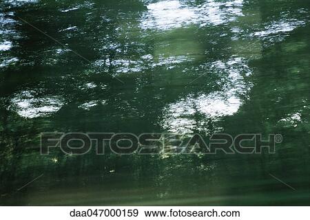 Forest, blurred motion View Large Photo Image Stock Photo - Forest, blurred motion. Fotosearch