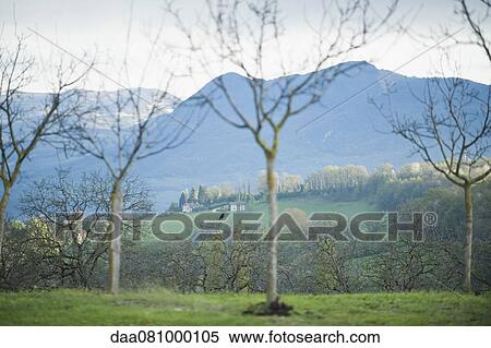 Stock Photography - France, Drome, tranquil countryside. Fotosearch